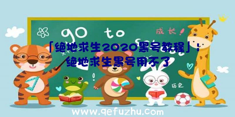 「绝地求生2020黑号教程」|绝地求生黑号用不了